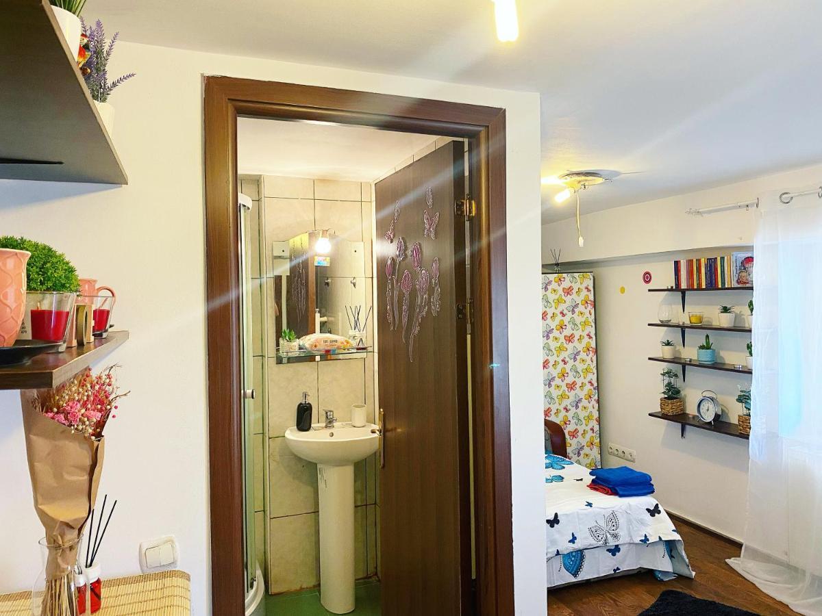 Casa Andu Apartment Bucureşti Ngoại thất bức ảnh