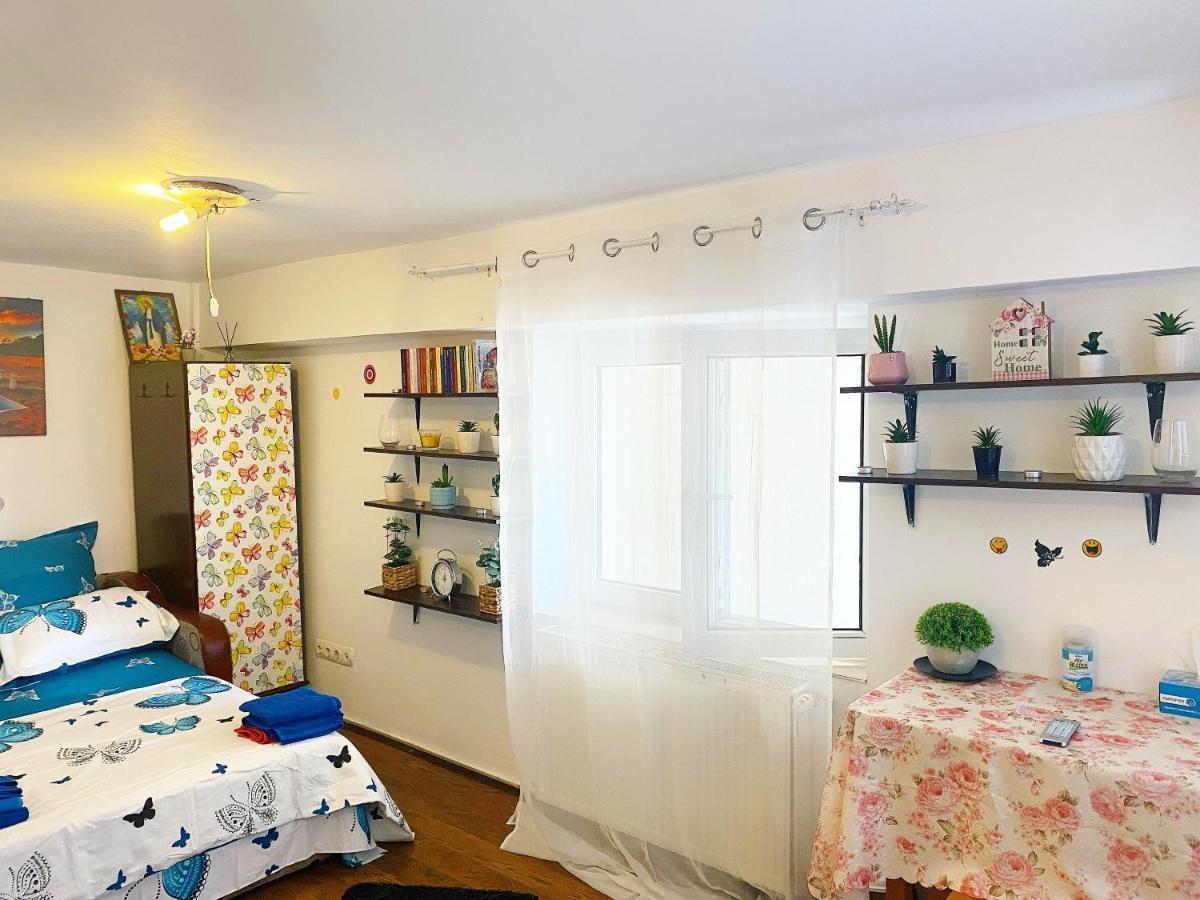Casa Andu Apartment Bucureşti Ngoại thất bức ảnh